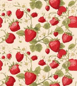 草莓化妆品包装素材矢量图