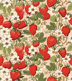 手绘草莓化妆品包装印花图案