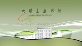 大平层 城市洋房 豪宅广告