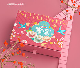 中式燕窝包装设计