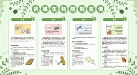 除四害宣传栏