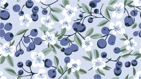 新鲜蓝莓图案设计