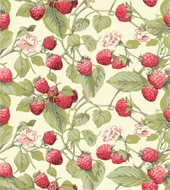 草莓可爱儿童手绘植物矢量图