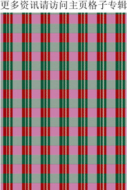 红色格子面料 格纹 服装