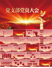 红色党建党支部党员大会PPT