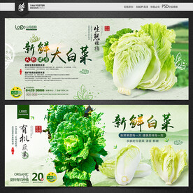 黄白菜