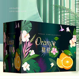 橙子包装