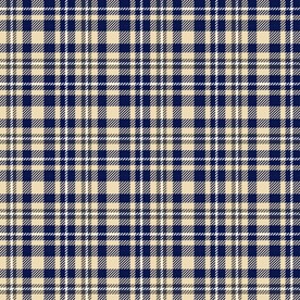 深蓝色格纹