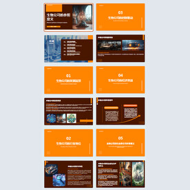 生物公司ppt模板