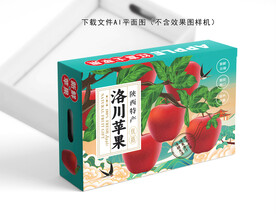 洛川苹果包装