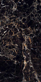 黑金花 金龙黑高清瓷砖设计