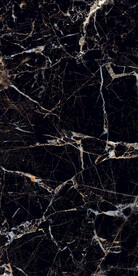 黑金花 金龙黑高清瓷砖设计