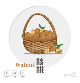 核桃插画