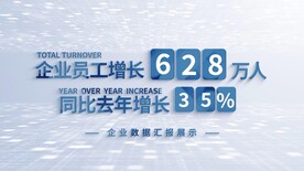 年会年终简洁大气企业数据汇报