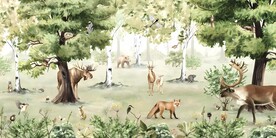 森林植物动物风景背景大图