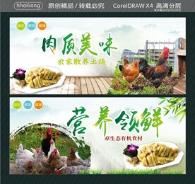 肉质美味 营养领鲜