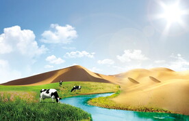 草原 沙漠 河流 羊群