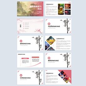 茶叶汇报ppt模板