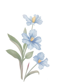 小清新紫色小花