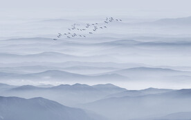 大气蓝色禅意水墨山水画背景墙