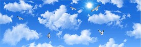 蓝天白云
