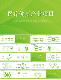 绿色医疗健康产业项目汇报PPT