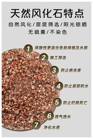 绿色 绿植 盆栽