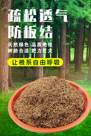 生态海报 环保生态