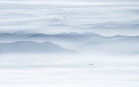 山水水墨画背景墙