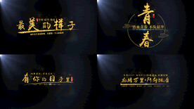 金色励志文艺综艺字幕AE模板