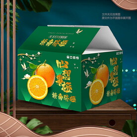 橙子包装 纸箱