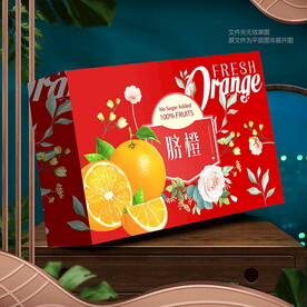 橙子包装  脐橙礼盒 
