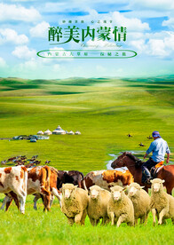 呼伦贝尔大草原之旅