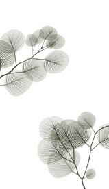 高清分层透明底平开门打印图