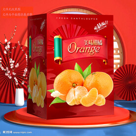 桔子包装