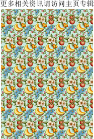 哈密瓜 夏季水果背景 水果印花