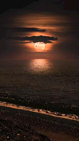 手机动态风景壁纸