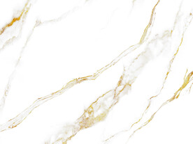 新品 中式新鱼肚白 TiF合层