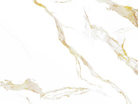 最新 中式新鱼肚白 TiF合层