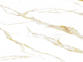 奢雅 中式新鱼肚白 TiF合层