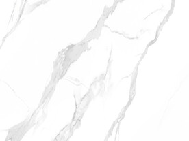 高雅 中式新鱼肚白 TiF合层