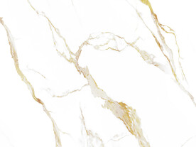 高清 中式新鱼肚白 TiF合层