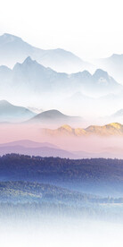 最新 清晰简约玄关 TIf分层