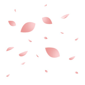 漂浮飘落樱花桃花装饰花瓣素材