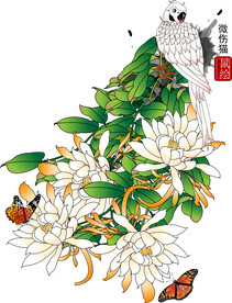 花鸟矢量图