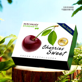 樱桃包装 车厘子礼盒