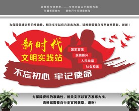 新时代文明实践站中心党建文化墙