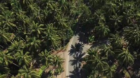 泰国水上市场旅游宣传视频