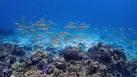 泰国海岛潜水旅游宣传视频