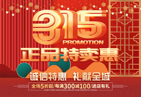 315海报